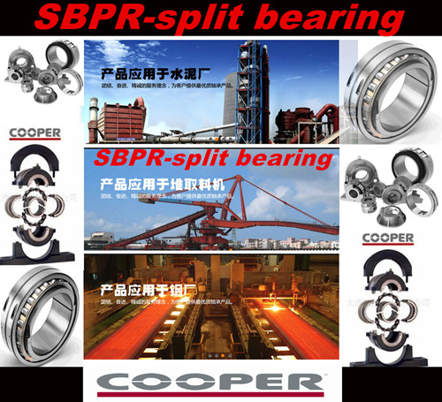 Cooper split bearing