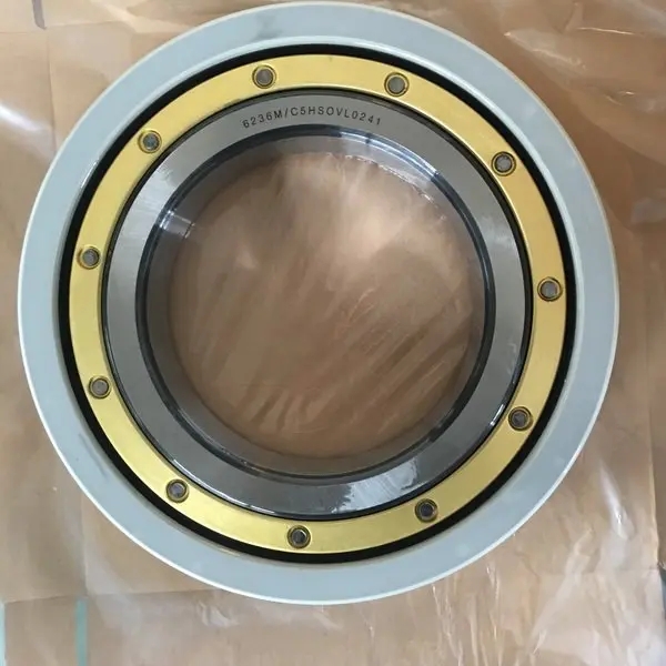 high-quality coating INSOCOAT bearing deep groove ball bearing