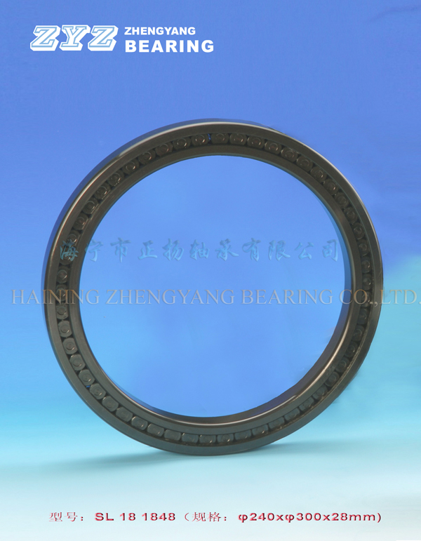 Cylindrical roller bearings SL181848