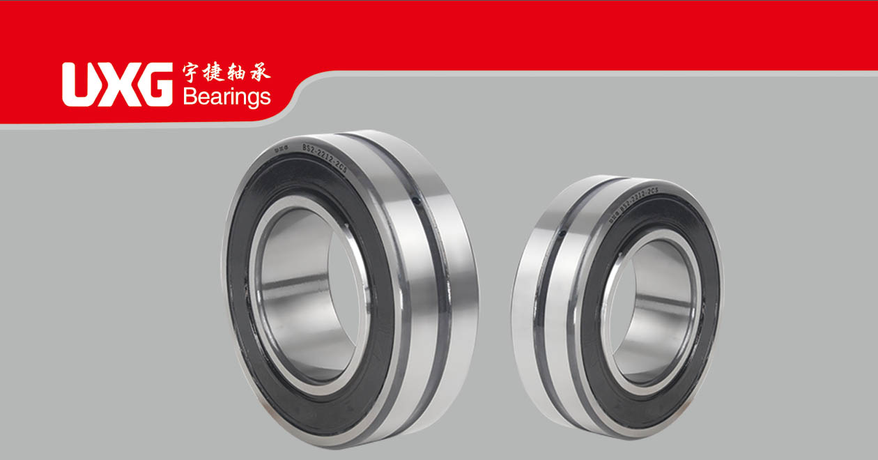 BS series sealed bearings