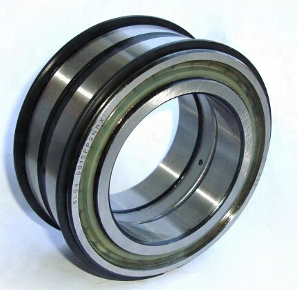 SL 04 5010 bearing Cylindrical Roller Bearings