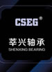 SHENXIAN SHENXING BEARING CO., LTD.