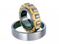 NJ200 Series bearing