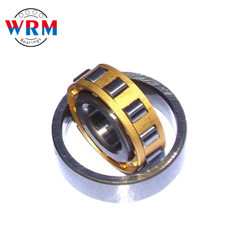 WRM NJ1019 Cylindrical Roller Bearings 95*145*37mm