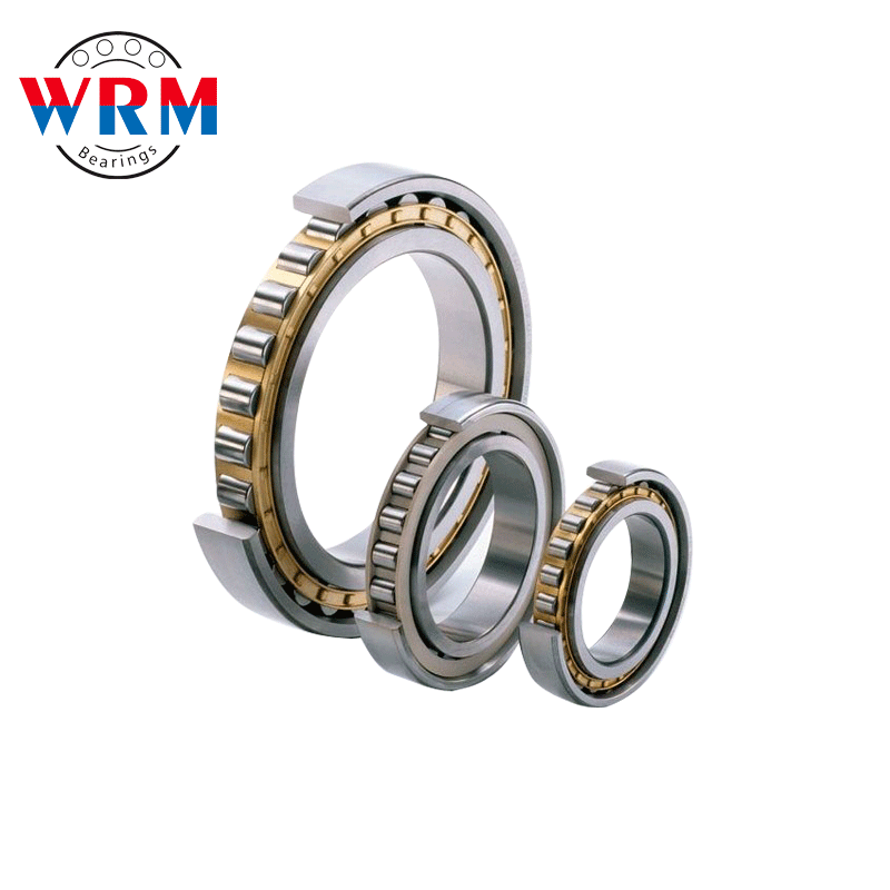 WRM N320 Cylindrical Roller Bearings 100*215*47mm