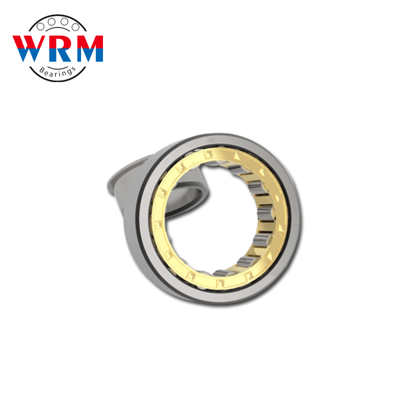 WRM NJ2220 Cylindrical Roller Bearings 100*180*46mm