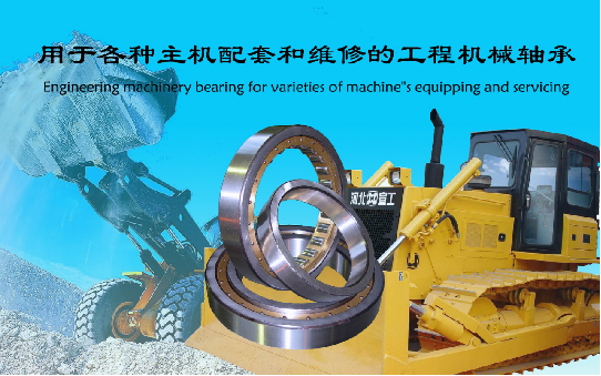 Construction Machinery bearing