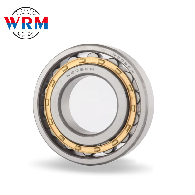 WRM N1010 Cylindrical Roller Bearings 50*80*16mm