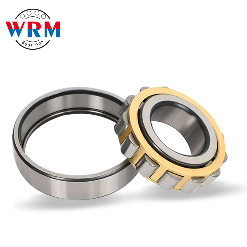 WRM NF220 Cylindrical Roller Bearings 100*180*34mm