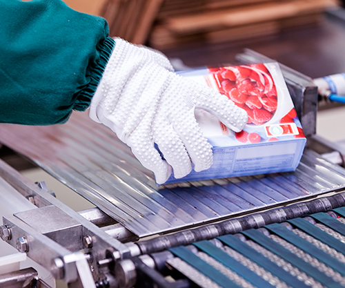 Food Processing