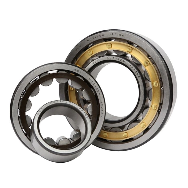 SL Double Row Full Complement Cylindrical Roller Bearings