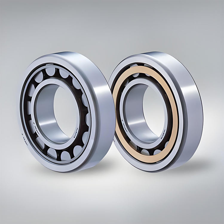 Durable Single Row Cylindrical Roller Bearing NU205ETN with Brass Cage for Pump Applications