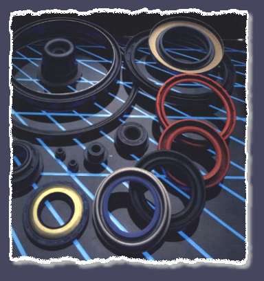 Oil seals