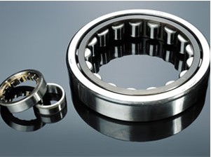 SL04 series cylindrical roller bearings SL04 260 PP