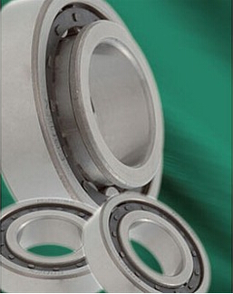 roller bearing for high radial loads