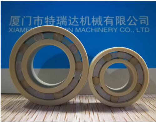 PEEK Roller Bearings