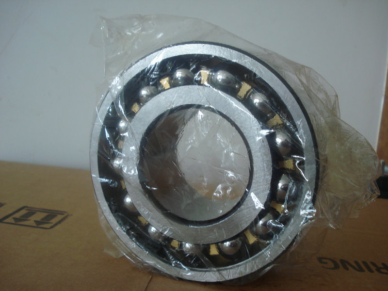 Double-raw angular contact ball bearing   5313W