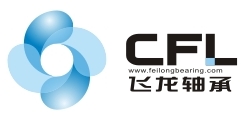 Ningbo Feilong Bearing Co., Ltd