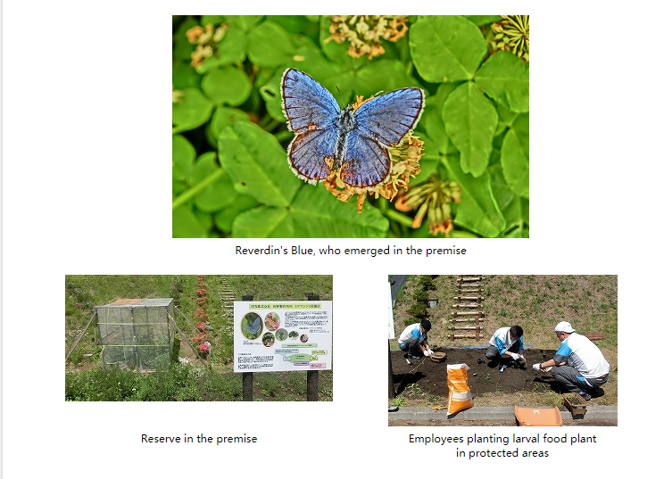 1593747644972303.png 2.png