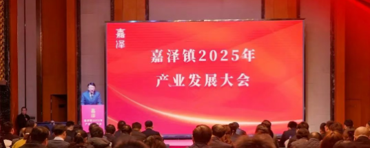 YFB Bearings Kicks Off the New Year with Dual Honors from Jiaze Town Government in Jiangsu Province