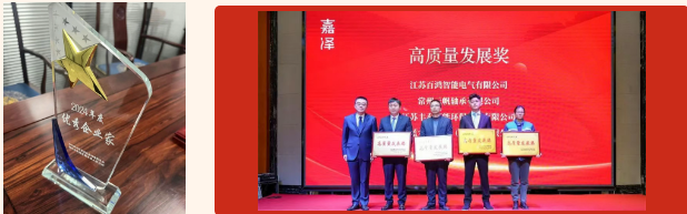 YFB Bearings Kicks Off the New Year with Dual Honors from Jiaze Town Government in Jiangsu Province