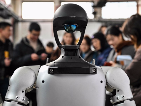 Why Humanoid Robots' 