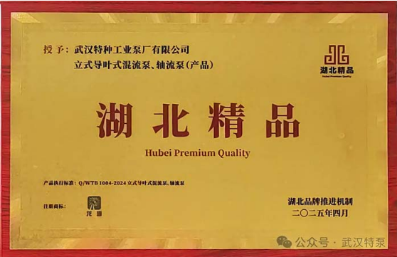 Wuhan Special Pump Vertical Guide Vane Mixed Flow Pump and Axial Flow Pump Honored with 
