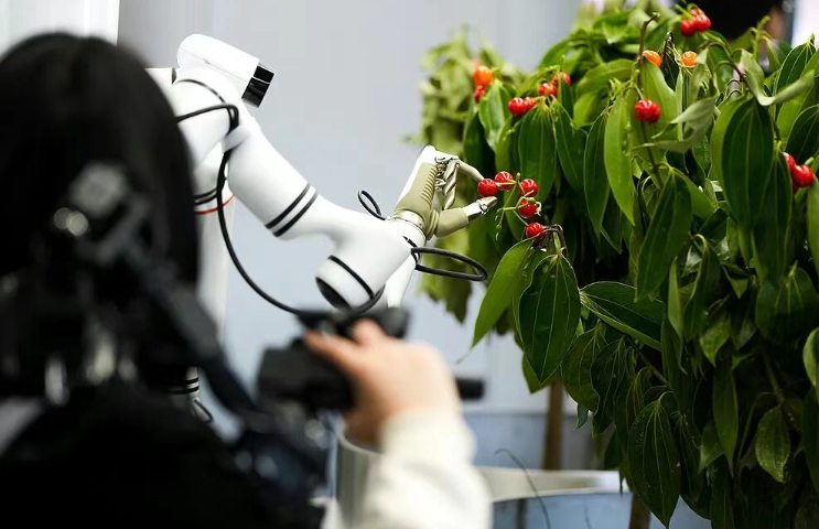 2025-26 China Machinery Industry Growth Plan Targets Key Smart Equipment 2025-26 China Machinery Industry Growth Plan Targets Key Smart Equipment