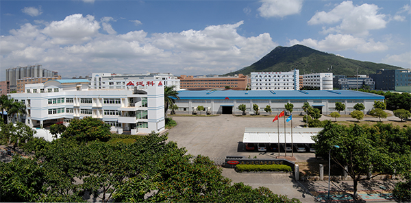 FK Bearing Group.jpg